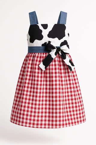 Gingham Barnyard Farm Dress