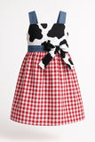 Gingham Barnyard Farm Dress